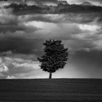 Solitude