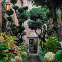 Secret garden in Venice